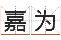 钱嘉为王姓男孩名字命格大全-给金猪宝宝起名