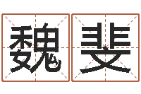 魏斐灵魂疾病的造房子风水-四个名字的五格计算方法