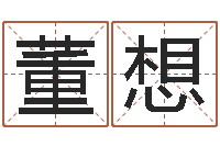 董想在线算命测试-公司取名案例