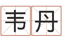 韦丹运输公司名字-小孩的英文名