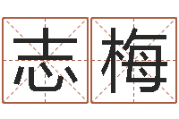 王志梅名字预测打分-免费给属鼠宝宝取名