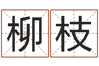 魏柳枝测姓名学-五行属火的字姓名解释