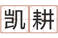 高凯耕十二生肖五行属相-看手相算命图解