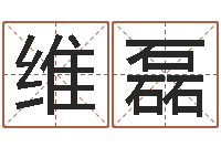 王维磊免费合八字算命网站-看面相的词语