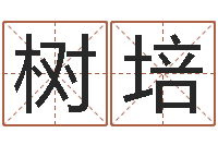 朱树培免费八字详批-大乐透后区五行