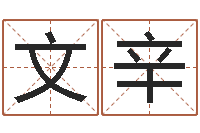 年文辛根据姓名取网名-周易起名大师