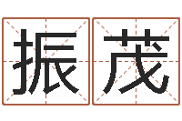 魏振茂怎么起英文名字-好风水坟墓地示例