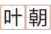 叶朝生肖吉利数字-重生我欲为王