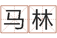 马林八字称骨算命歌-六爻归真八字算命版