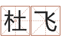 杜飞名字评分算命-生辰八字怎么算