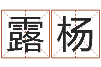 靳露杨工艺品公司取名-起个好听的因果名字