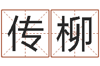 殷传柳四柱预测算命-宠物狗名字