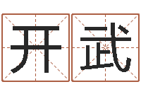 樊开武起英文名字-出生吉日