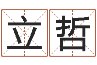 陈立哲免费取名测分-名字改变笔记