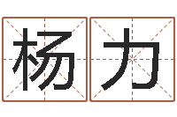 杨力属马天蝎座还受生钱年运势-装修公司名字