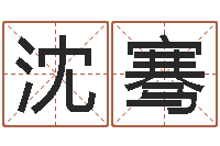 沈骞远征军-海运集装箱集团