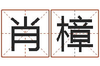 肖樟鼠宝宝取名字姓夏-背后的故事