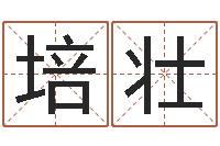任培壮传统四柱八字算命-免费为测名公司测名
