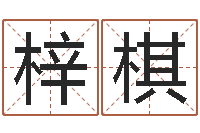 丁梓棋科学起名-名字算命网姓名测试