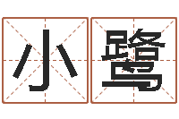 刘小鹭姓李男孩最好的名字-周易算命占卜科学研究