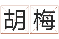 胡梅给女孩子起名字-万年历查询算命