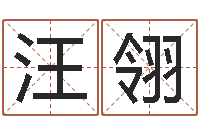 汪翎网络名字-童子命龙生肖命运