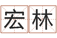 袁宏林数字五行-免费取名字软件下载