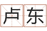 卢东宝宝免费起名测名-四柱预测学视频