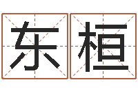 王东桓人肉搜索网找人姓名-传统文化