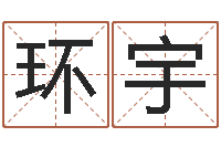 常环宇au名字-排四柱八字