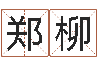 郑柳起名字好名字-四柱预测学