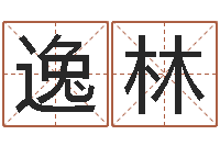 孙逸林袁天罡算命-周易研究会算命