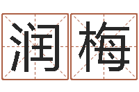 陈润梅生辰八字推算-讲座