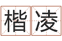 张楷凌远征军剧情介绍-牛年运程