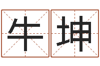 牛坤北京算命名字测试评分-建材测名公司取名