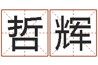 徐哲辉大连算命软件学院-免费生辰八字算姻缘