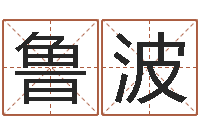 鲁波八字合盘-查生辰八字五行