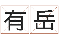 潘有岳免费企业起名-有哪些品牌名字调命运集