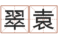 王翠袁开公司取名字-集装箱动态追踪