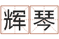 林辉琴年属鸡的运程-奇门在线排盘