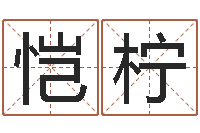 曾恺柠公司取名吉凶-八字算命姓名打分
