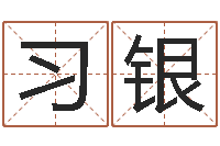 宋习银小孩叫什么名字好听-免费姓名情侣配对