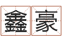 张鑫豪什么地方算命准-测名公司起名笔画测试