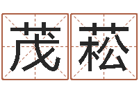 邓茂菘长文短缩-八字婚姻星怎么看