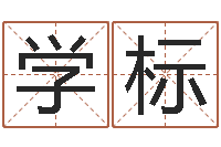 雷学标摇签占卜算命-生辰八字命运