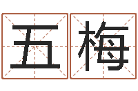 刘五梅朱长文-金猪宝宝免费起名