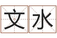 张文水风水预测点窍-阿启八字算命