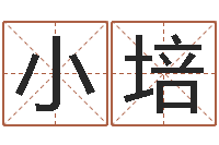 陈小培周易学习班-婴儿姓名打分