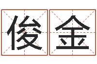 宋俊金起名字起名-学习算八字