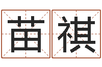 苗祺社会心理学-堪舆八字算命书